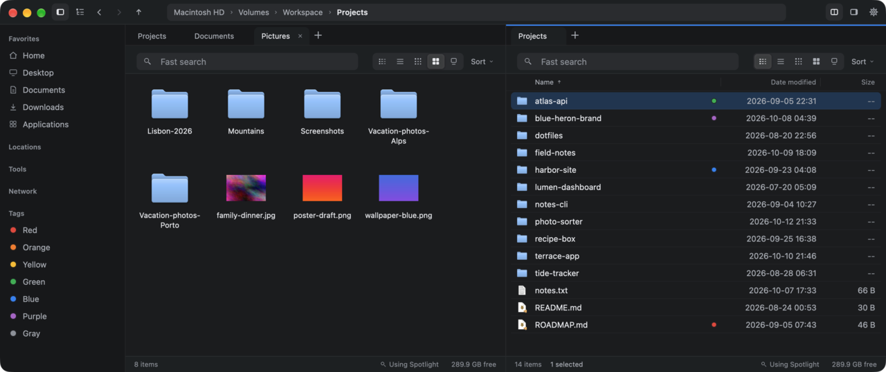 Fast Finder with three tabs and two panes side by side: icons on the left, a Details list on the right.