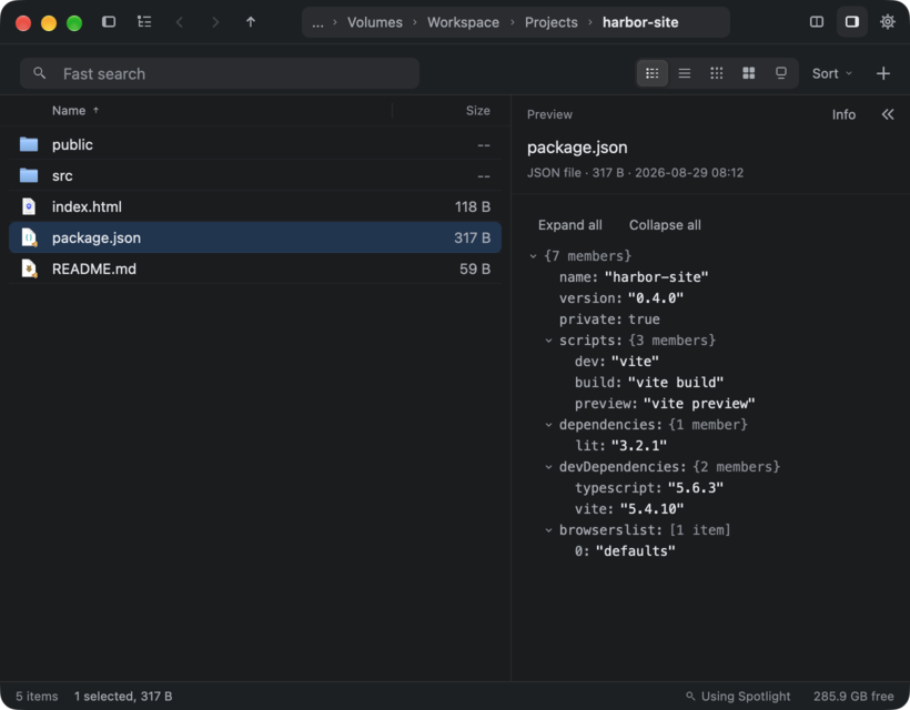 JSON: a package.json file shown as a tree you can fold, in the details sidebar.