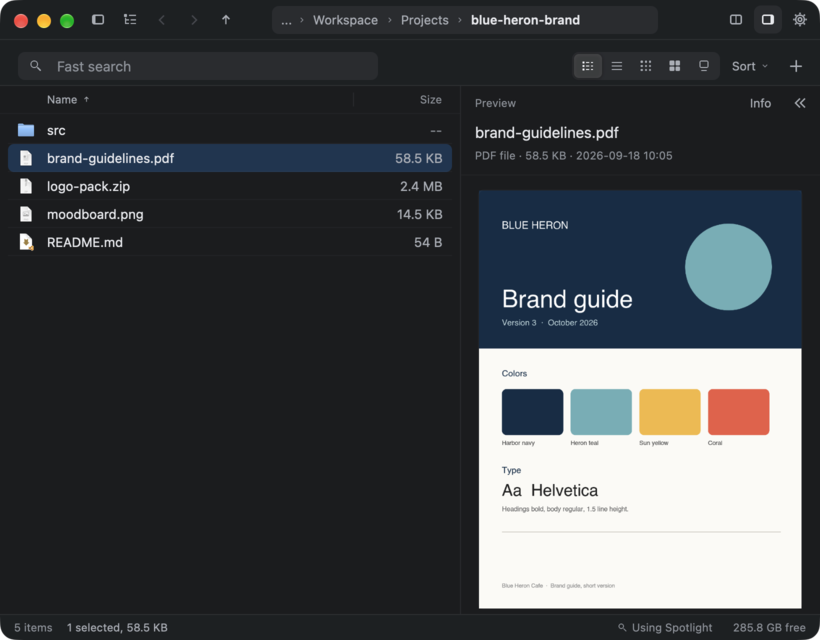 PDF: the first page of a brand guide, with the page count and page size, in the details sidebar.